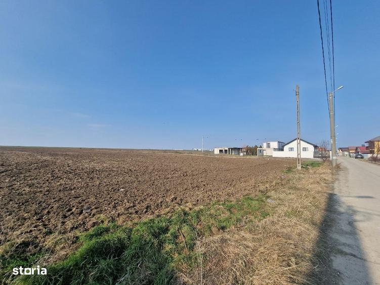 Oportunitate!! Teren 22.600mp cu deschidere la asfalt 114ml - 6
