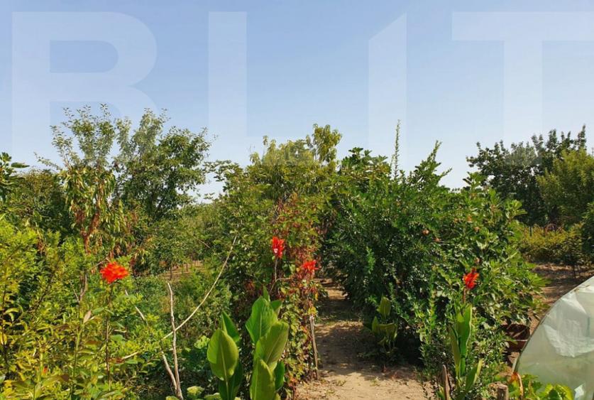 DE VANZARE Casa cu gradina mare in Lugoj - 6