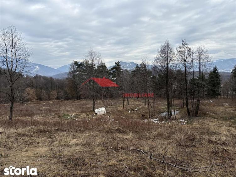 Teren cu 2 izvoare, Prundul Bargaului - 7