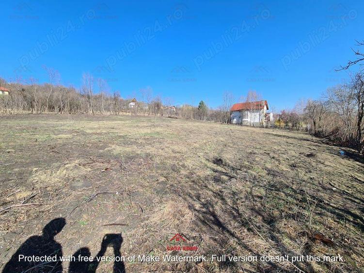 Teren intravilan in Cornu de Jos--4391 mp--43e - 6