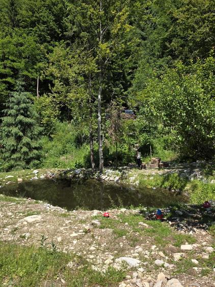 Teren Lunca Visagului - 4