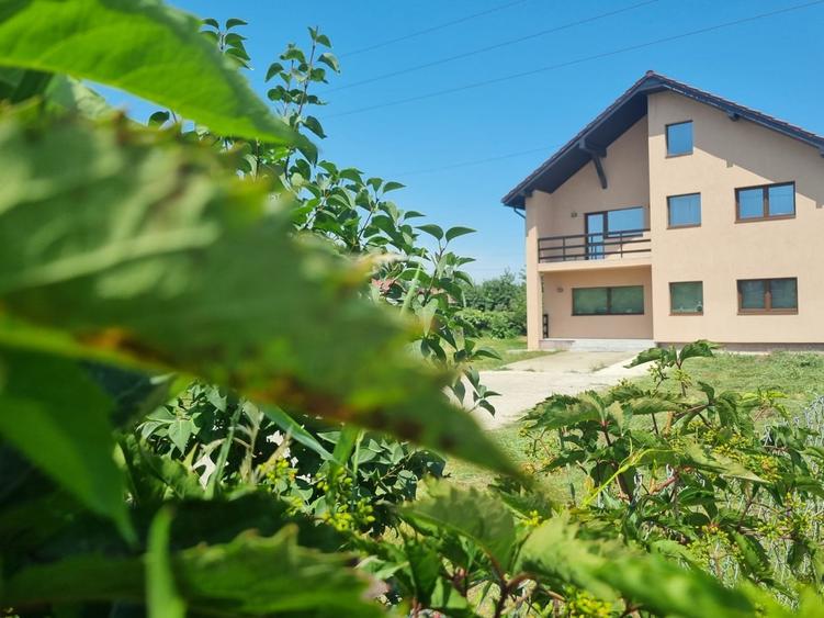 Vila 5 camere/ Teren 4531 mp- destinatii multiple! Ai idei bune?! - 1