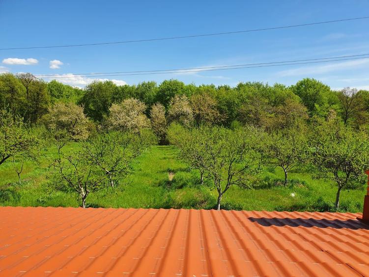 Casa moderna intr-un peisaj de vis, situata intre Pitesti si Valcea - 4