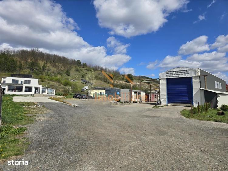 PROPRIETATE MULTIFUNCTIONALA | TEREN 3788 MP | SPALATORIE CAMIOANE + C - 8