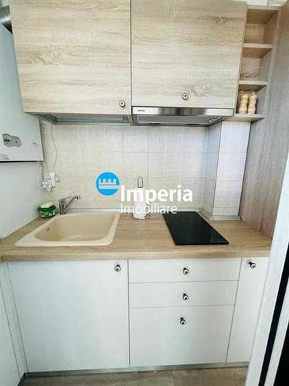 Apartament 2 cam, open space, de vanzare in zona Tatarasi - Sf Maria - 5