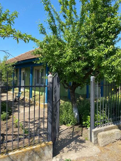 Casa la ?ara cu teren 1000 mp + posibilitate teren suplimentar 1922 mp Baneasa, judetul Giurgiu - 2