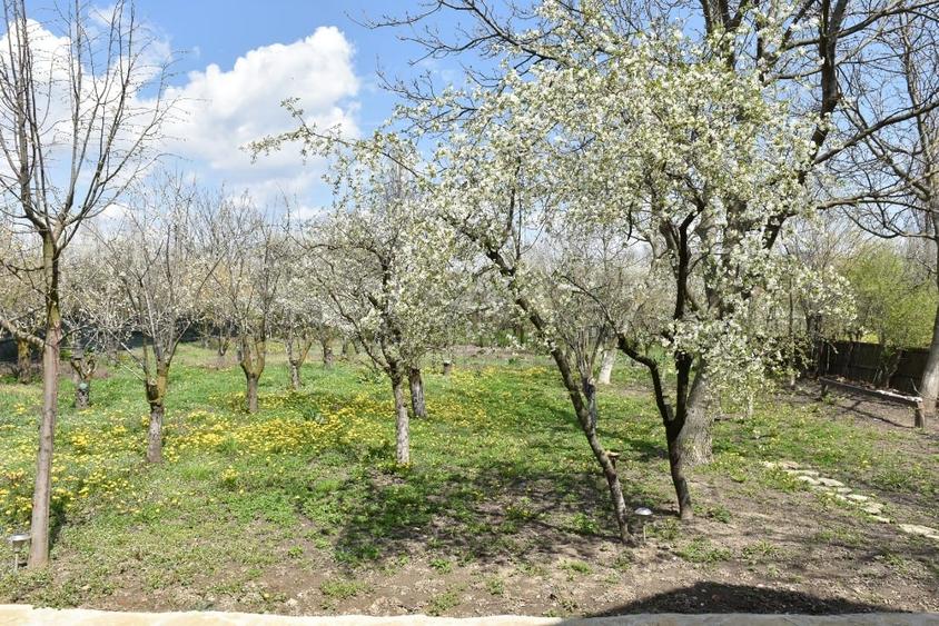 Vanzare vila noua & casa de la 1893 restaurata+ curte de 2.000 mp - 5