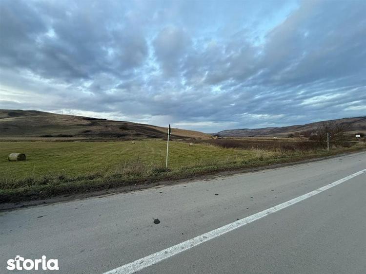 Teren Extravilan I 6000 Mp I Acces la drum | Cojocna - 4