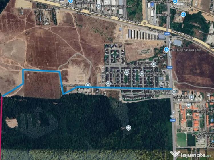 Raritate absoluta: Teren 20.000 mp in inima Padurii Banea - 5