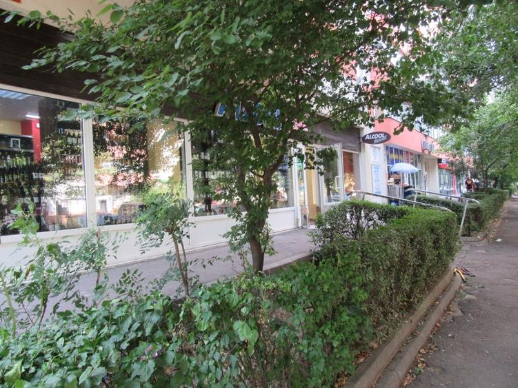 Inchiriere Spatiu Comercial Teiul Doamnei - 46mp. - 17