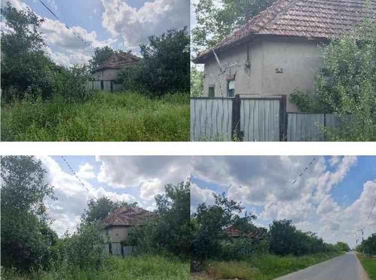 Casa si teren Loc. Sepreus, Jud Arad 17.10 - 3