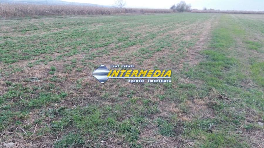 Teren Intravilan 5000 mp Zona Soseaua de Centura, Alba Iulia - 1