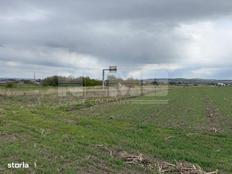 Teren extravilan | Horodnic de Sus zona Osoi | 50 de Ari - 4