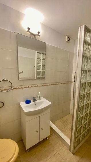 Apartament în vilă, Cotroceni - Palat - 3