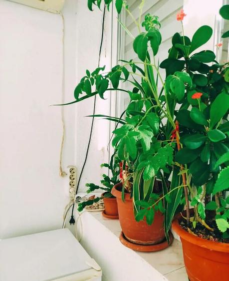 Apartament 2 camere, Brancoveanu, Stoian Militaru! - 5