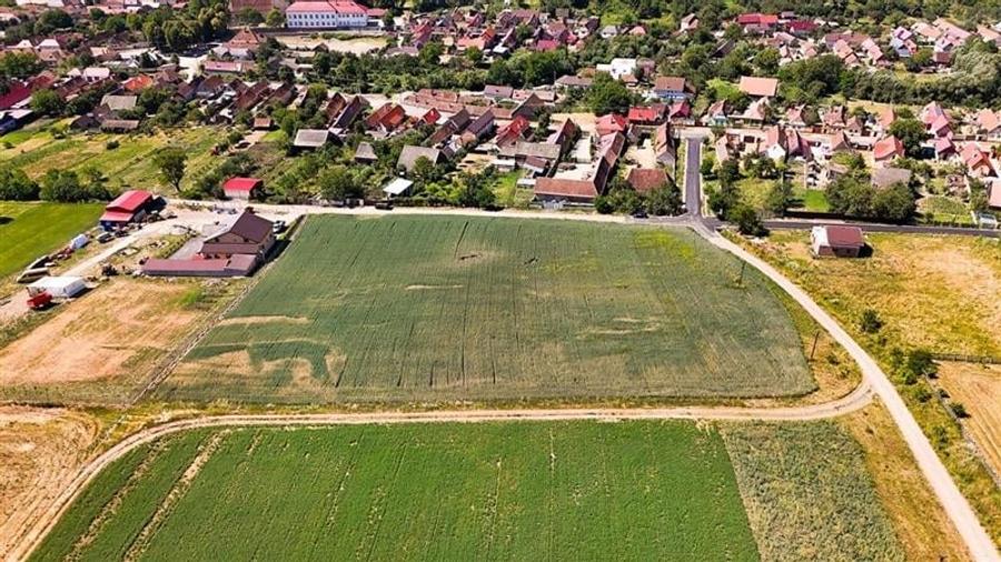 6 loturi casa Maierus,1.375mp,langa DN13, Doripesco,Brasov: 35min, zona verde:FI - 11