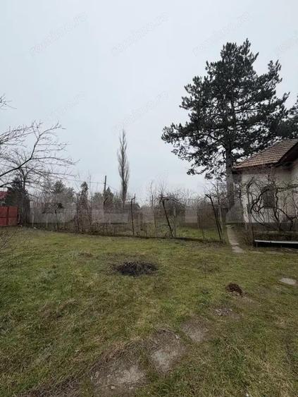 Casa strada principala Caciulatesti, 2714 mp teren, front 104 ml - 3