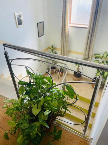 Casa, 7 camere, Ganeasa, Ilfov - 8