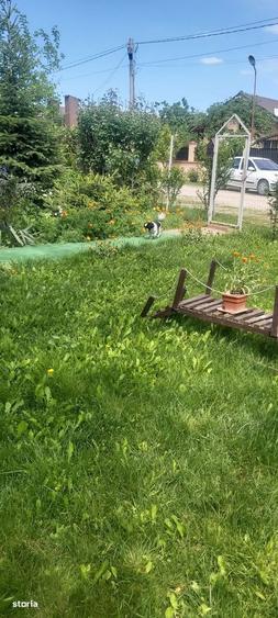 Casa de vacan?a la 30 km de Bucure?ti - 6