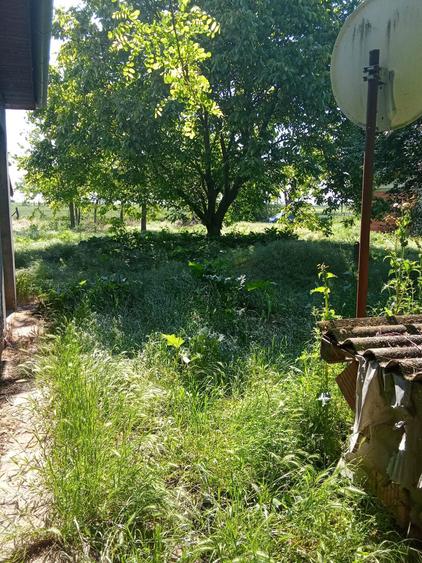 Casa de vanzare Peregu Mare - 3