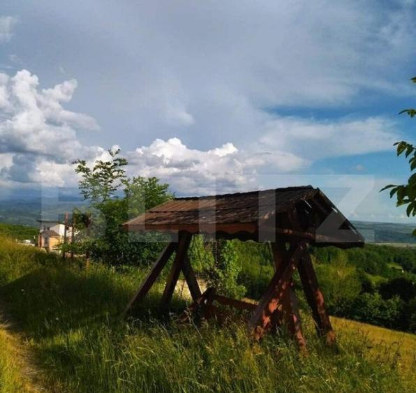 Cabana de vanzare in Stramba - 9