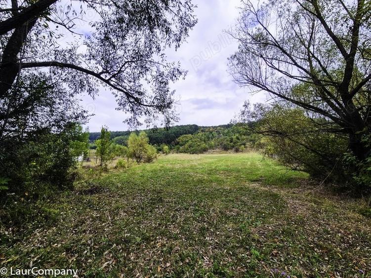 Teren 1,4 hectare Draganu Arges - 5