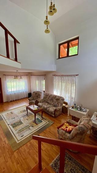 Giurgiu, vila cu padure proprie, izvor si iaz pe 19.900 mp teren - 17
