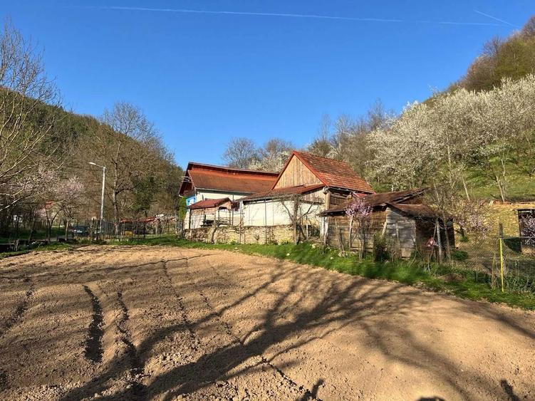 Pret actualizat | Proprietar vand casa la munte cu 6.019 mp teren, gradina, livada, utilitati complete Bacaia (Geoagiu) - 3