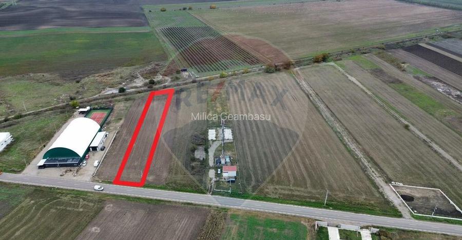 Teren 1,800mp Mircestii Vechi / DJ 204E