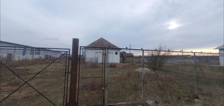 PF inchiriez 3 parcele de teren cu cladiri si hale, iesire la asfalt - 6