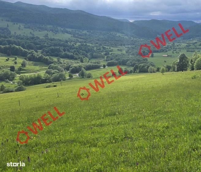 Spațiu comercial, în Vama Buzăului