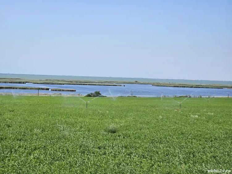 Teren de 5000 mp, în Jurilovca