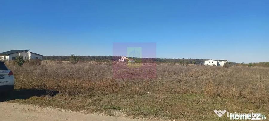 Teren de 6293 mp, în Săbăreni
