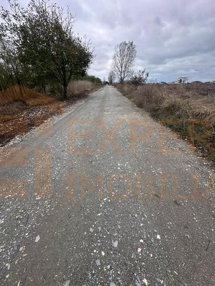 Teren Construcții intravilan de 479 mp, în Costinești