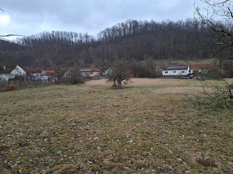 Teren de 3140 mp, în Petriș