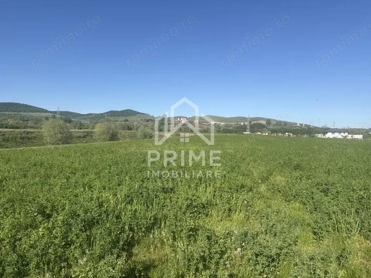 Teren intravilan de vanzare | 5800 MP Zona Orizont - 1
