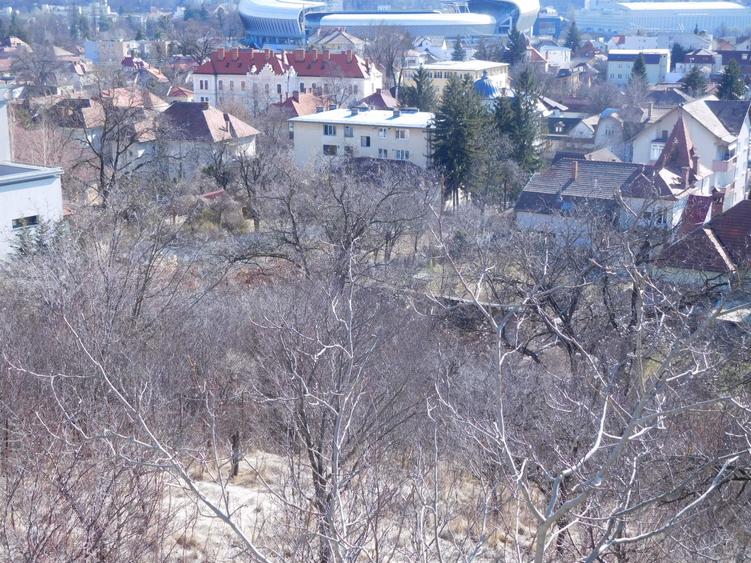 Oferta rara. Teren constructii cu o panorama frumoasa! - 4