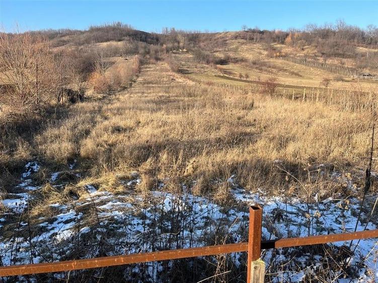 CASA DEMISOL+ PARTER SI TEREN DE VANZARE BOGDANESTI - BACAU - 7