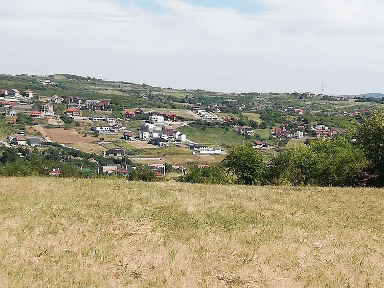 Teren 1 ha terasat, la Saldabagiu de Munte - 5