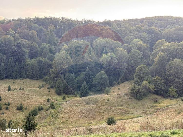 Teren Exclusiv Pentru Investitie In Zona De Agrement Brasov, Dn 1E - 3