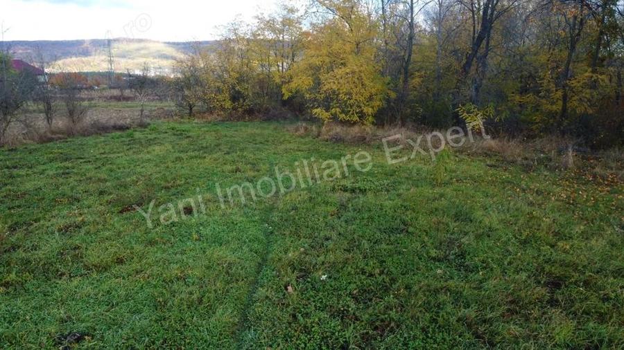 Teren de vanzare in comuna Meri?ani, sat Valcelele, jude? Arge?. - 12