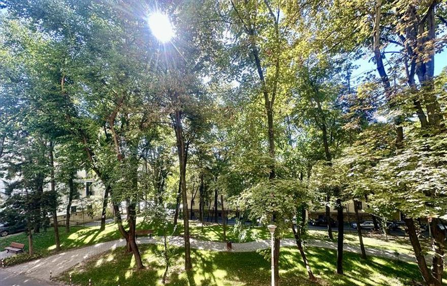 Apartament 2 camere  de inchiriat  Copou, - 13