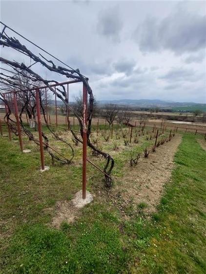 Casa de vanzare cu gradina aproape de Onesti - 10