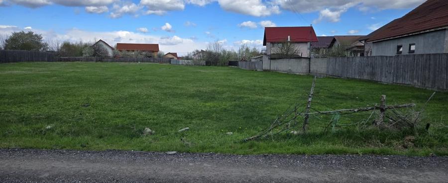 Teren parcelabil - 6