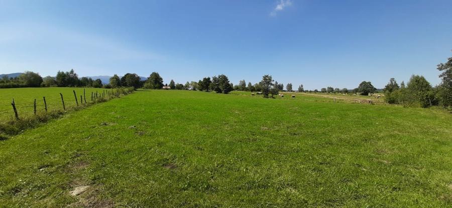 Teren Bran - Sohodol - 6