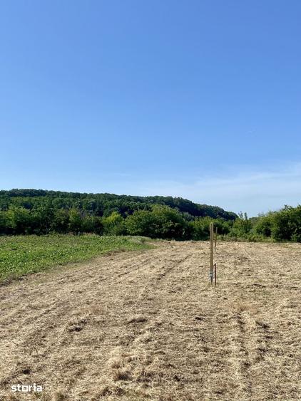 Teren de 621 mp, în Corbeanca