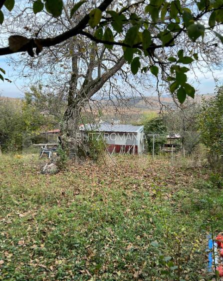 Investi?ie! Teren de 1590mp intravilan central in Dezmir!