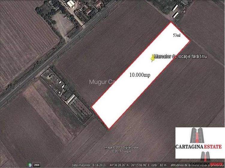 Dascalu - teren 10.000 mp intravilan construibil Dascalu - teren 10.000 mp intravilan construibil