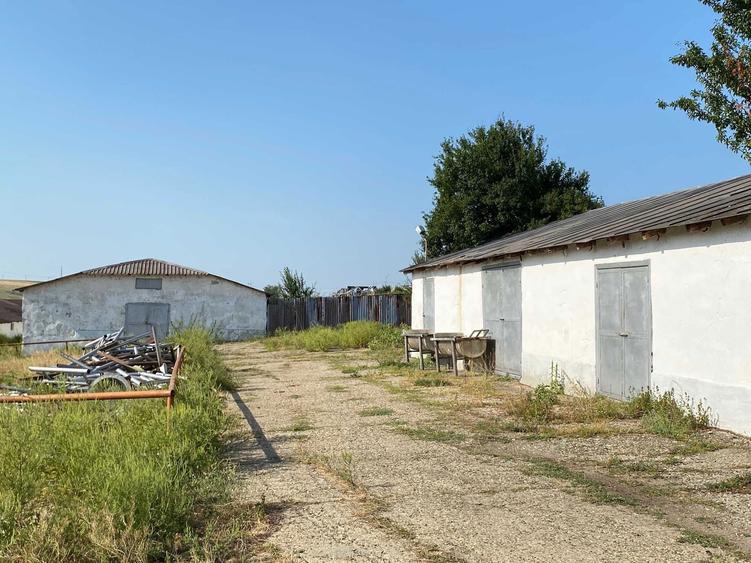 Teren Dezvoltare Hale/Industrial - 1