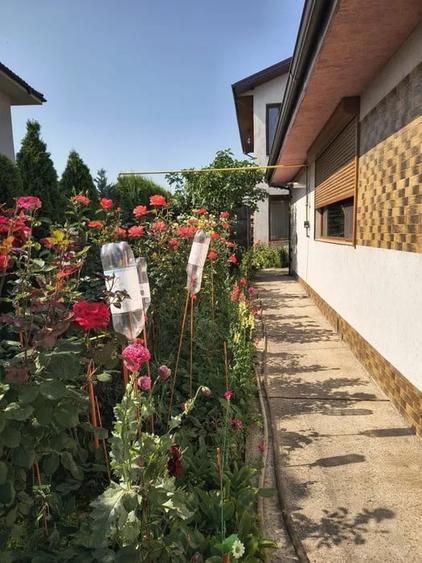 CASA P+1 | ZONA KM 5 | CONSTRUCTIE NOUA - 15